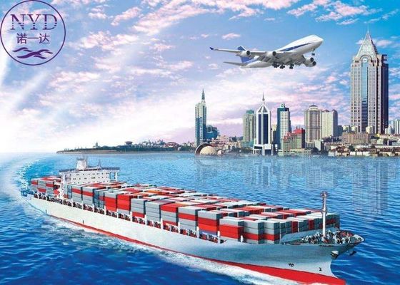 Worldwide Freight Forwarder DDP Shipping Logistics Reliable And Fast Delivery